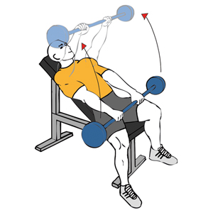 Elevación frontal con barra en banco inclinado
