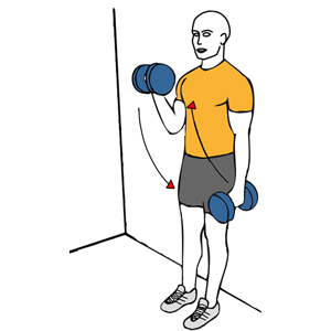 Curl de biceps alterno con mancuernas con giro apoyado en la pared