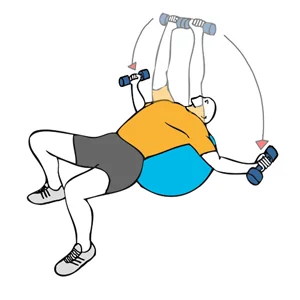 Pajaros o aperturas con mancuernas tumbado sobre pelota de pilates