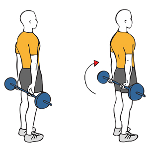 Flexión de antebrazos con la barra en la espalda