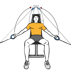 5 días en el gimnasio. Dia 1