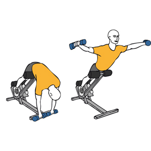 Extension de tronco y aperturas con mancuernas