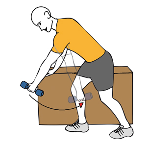 Balanceo de hombro con mancuerna tronco inclinado adelante