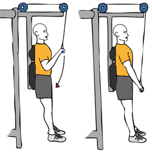 Extensión de triceps con cable-polea de pie espalda apoyada