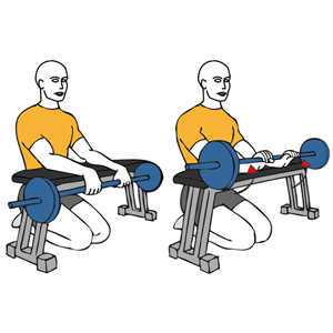 Brazos como el acero en 80 min