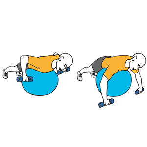 Remo con mancuernas sobre pelota de pilates