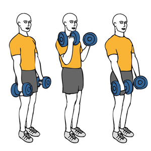 Día de Bíceps y tríceps al límite.