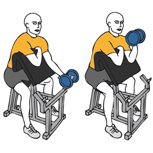 Curl de biceps a una mano con mancuerna en banco scott