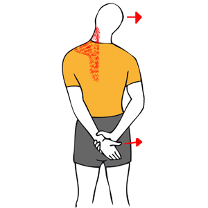 Estiramiento de trapecio y cuello con brazo en la espalda