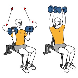 5 días en el gimnasio. Dia 2