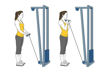 Curl de bíceps a dos manos con cable-polea de pie