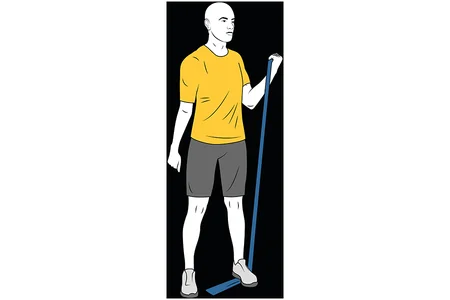 Curl de bíceps con banda elástica