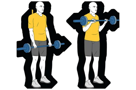 Curl de biceps con barra agarre prono