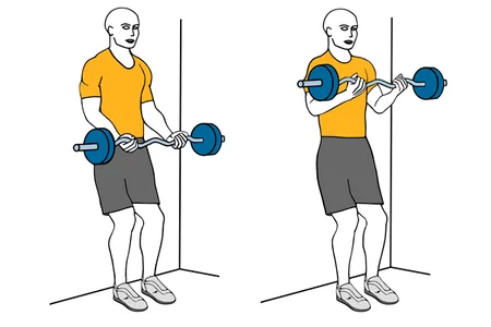 Curl de biceps con barra en z de pie apoyados en la pared