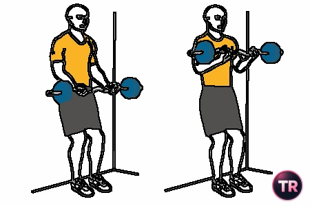 Curl biceps avec barre en Z debout en appui dans la mur
