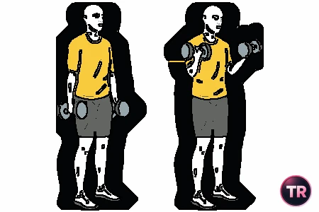 Biceps curl with dumbbells standing and twist