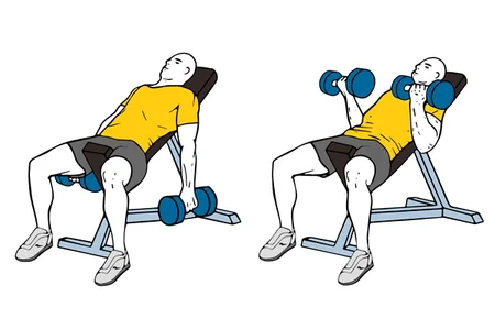 Curl de biceps con mancuernas en banco inclinado
