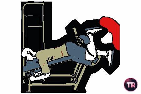 Hamstring curl single-leg with decline machine