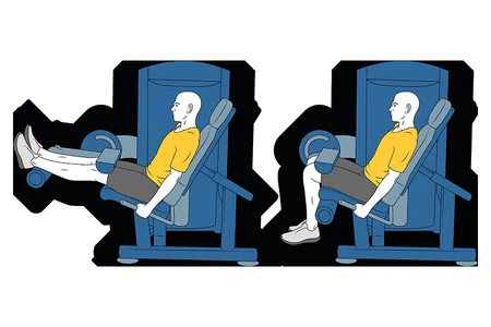 Curl femoral sentado en máquina