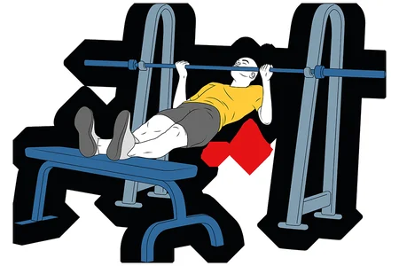 Remo invertido en máquina smith con apoyo y agarre supino