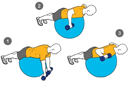 Ejercicio L o Elevación frontal de mancuernas sobre pelota suiza