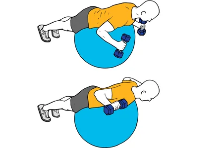Ejercicio w o elevación frontal de mancuernas sobre pelota suiza