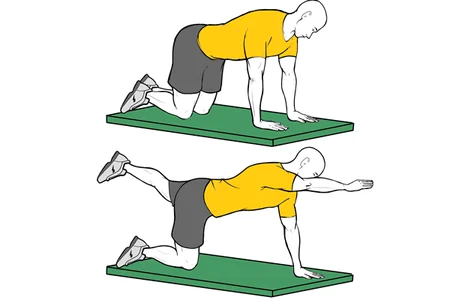 Mountain climber en banco plano