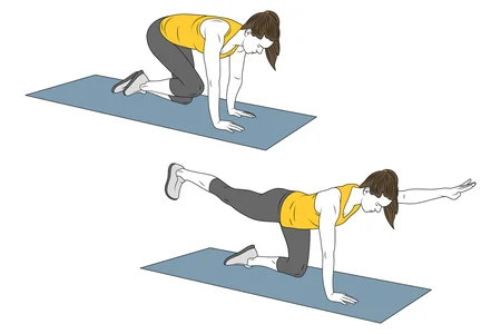 Mountain climber en banco plano