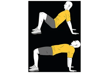 Elevación de la pelvis en cuadrupedia supina