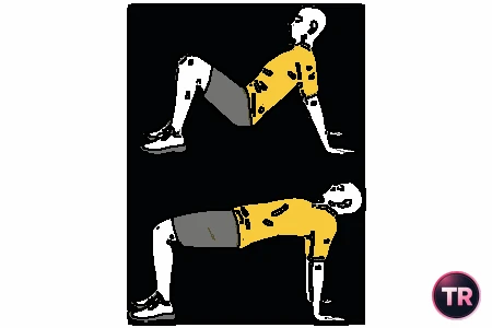 Elevación de la pelvis en cuadrupedia supina