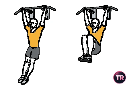 Elevación de piernas flexionadas en suspension