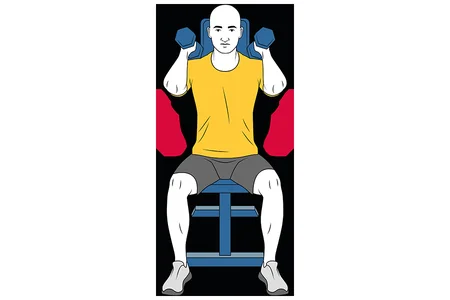 Dumbbell front raise with dumbbells in 90º