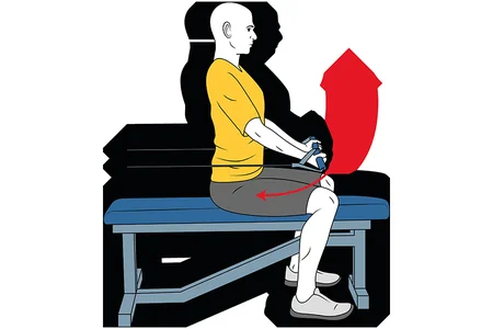 Dumbbell front raise with cables