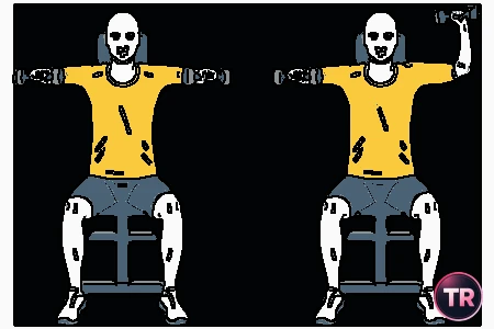 Raise and shoulder rotation with dumbbells