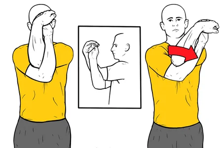 Estiramiento del aguila