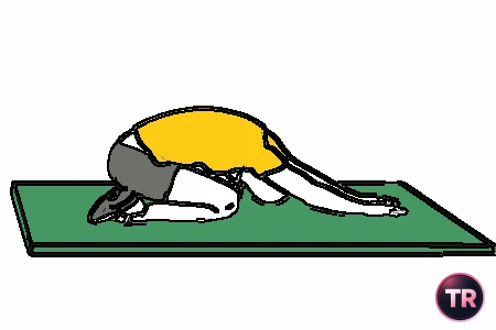 Estiramiento lumbar de rodillas