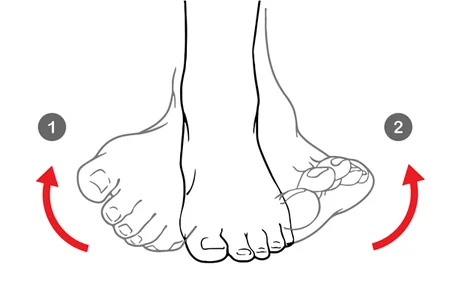 Eversión e inversión