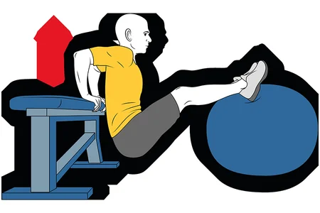 Extension de brazos apoyado en pelota de pilates