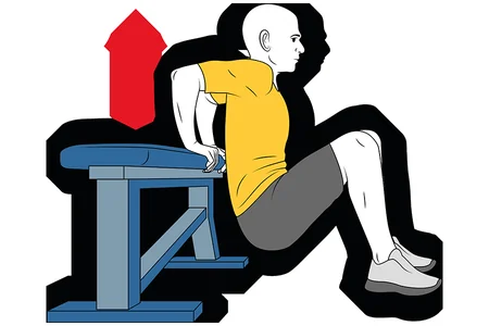 Extension de brazos con apoyo en banco con piernas flexionadas