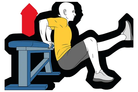 Extension de brazos con apoyo en banco una pierna flexionada