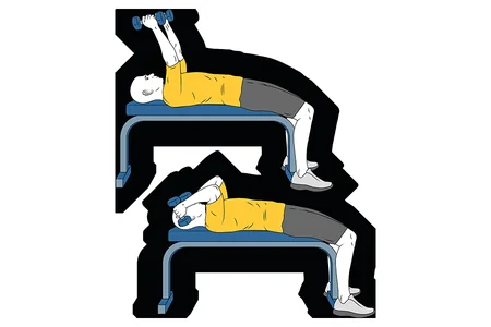 Extensión de brazos con mancuernas en banco plano