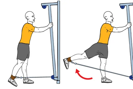 Extensión de cadera de pie con cable-polea