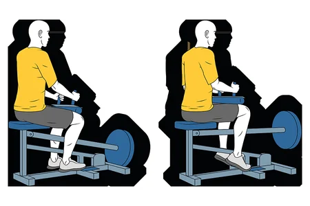 Extensión de gemelos sentado en máquina