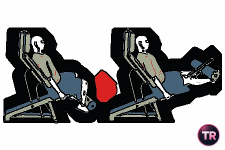 Extensión de piernas en máquina