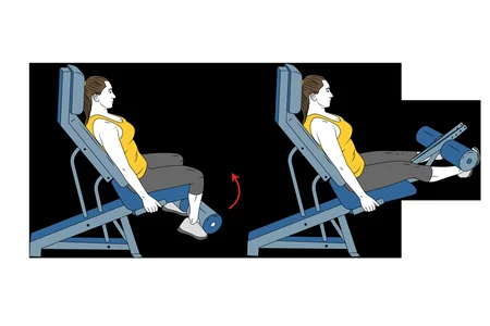 Extensión de piernas en máquina