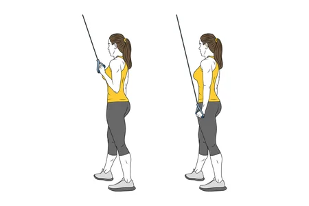 Extensión de tríceps a una mano con cable-polea