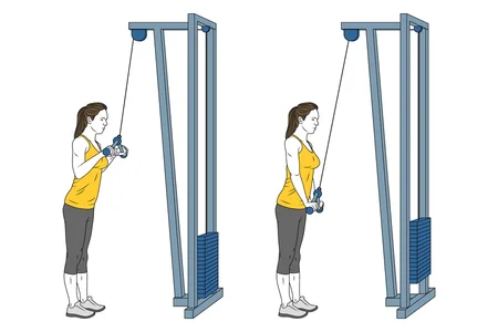 Extensión de tríceps con polea