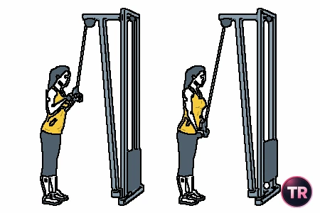Extensión de tríceps con polea