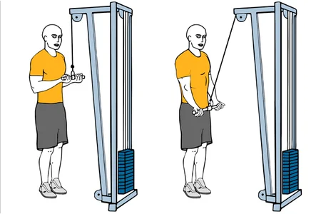 Extensión inversa de tríceps de pie