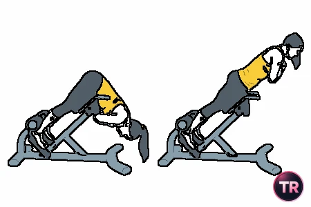 Extensión lumbar en silla romana